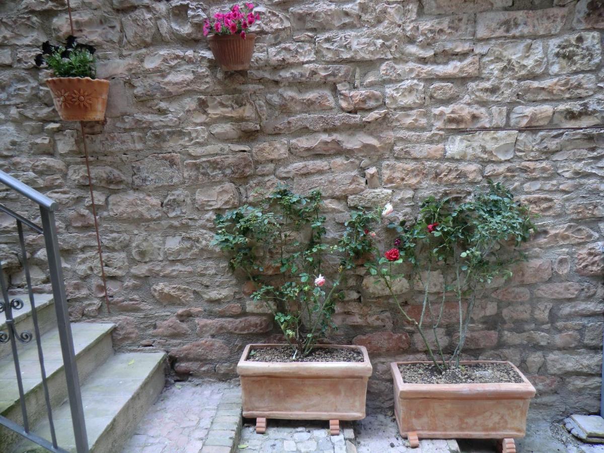 La Corta Di Spello Camere Kültér fotó