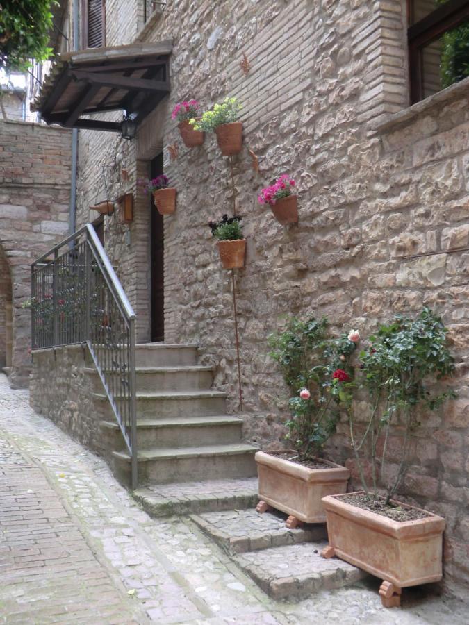 La Corta Di Spello Camere Kültér fotó