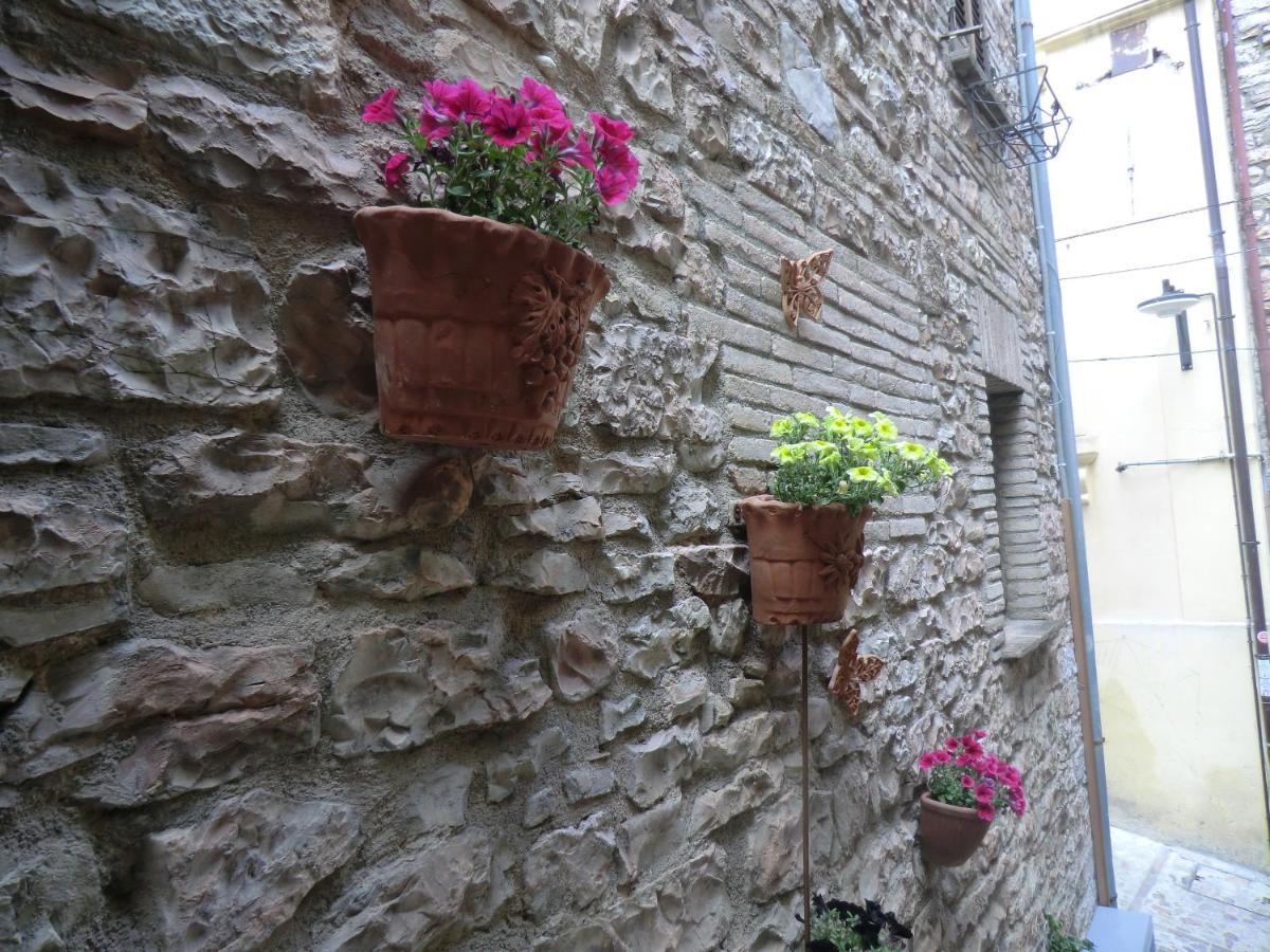 La Corta Di Spello Camere Kültér fotó