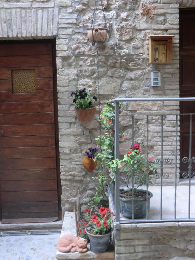 La Corta Di Spello Camere Kültér fotó