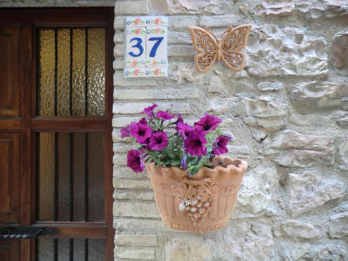 La Corta Di Spello Camere Kültér fotó