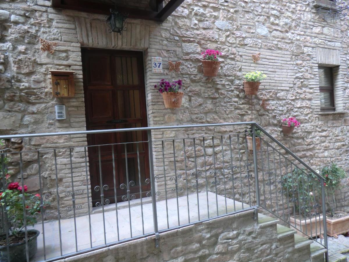 La Corta Di Spello Camere Kültér fotó