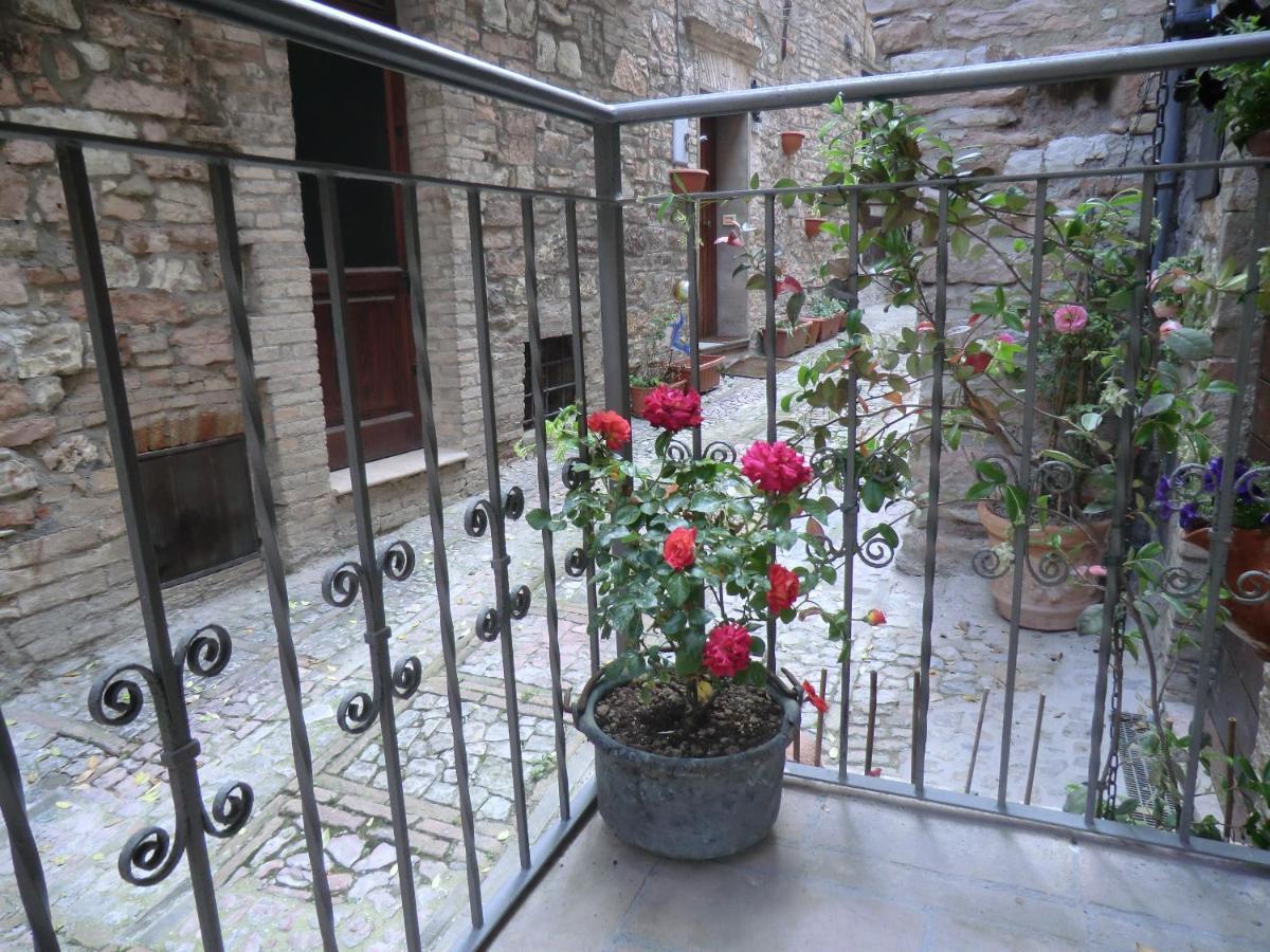 La Corta Di Spello Camere Kültér fotó