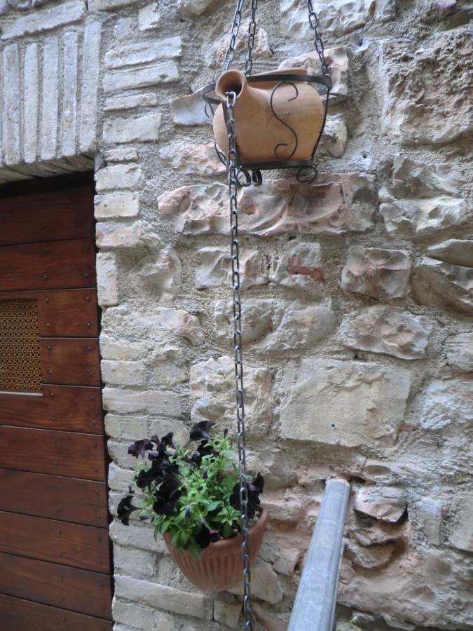 La Corta Di Spello Camere Kültér fotó