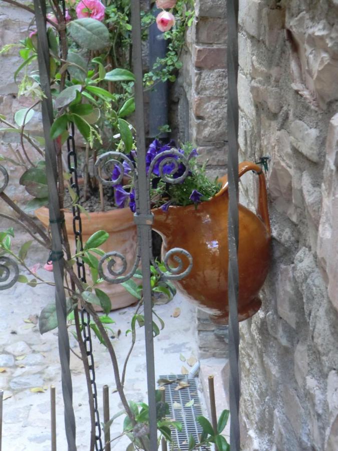 La Corta Di Spello Camere Kültér fotó